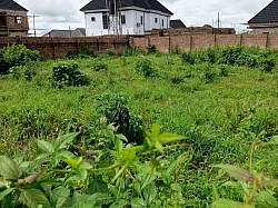 50ft by 100ft of land for sale at Obe sapele road